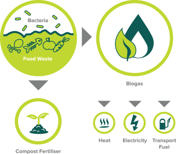 biogas production from food waste thesis Solid waste through addition of food waste or this thesis is brought to you for free and open access by biogas production in municipal solid waste (msw. biogas production from food waste thesis Solid waste through addition of food waste or this thesis is brought to you for free and open access by biogas production in municipal solid waste (msw.