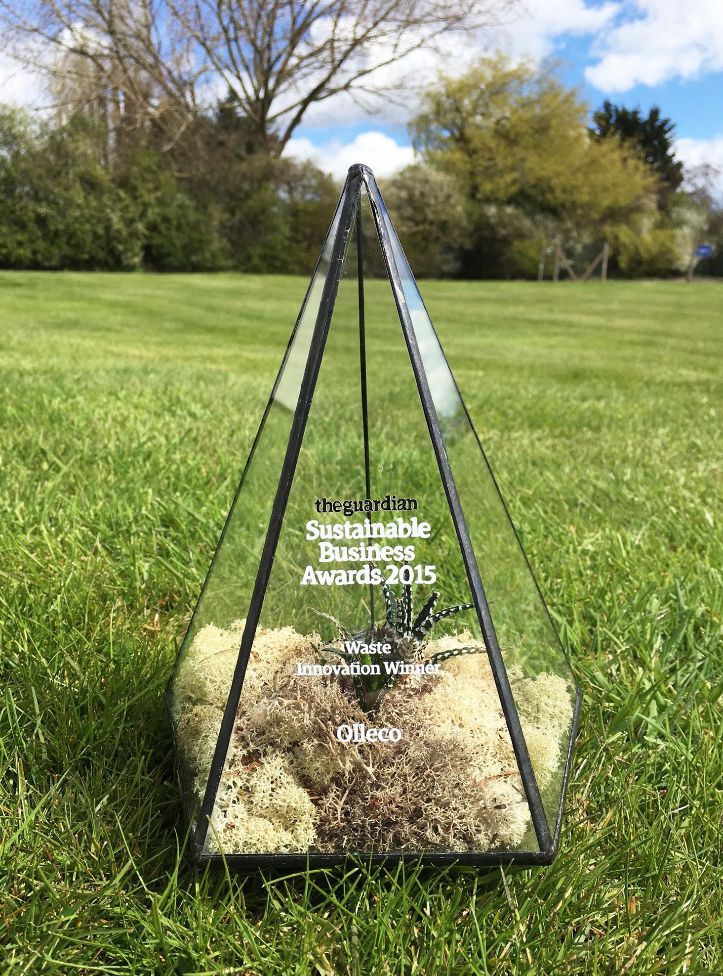 Olleco won the Guardian Sustainable Business award in 2015