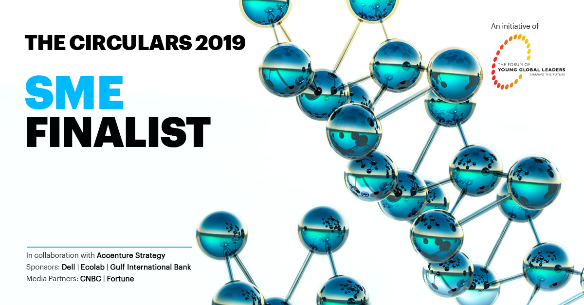 The Circulars 2019