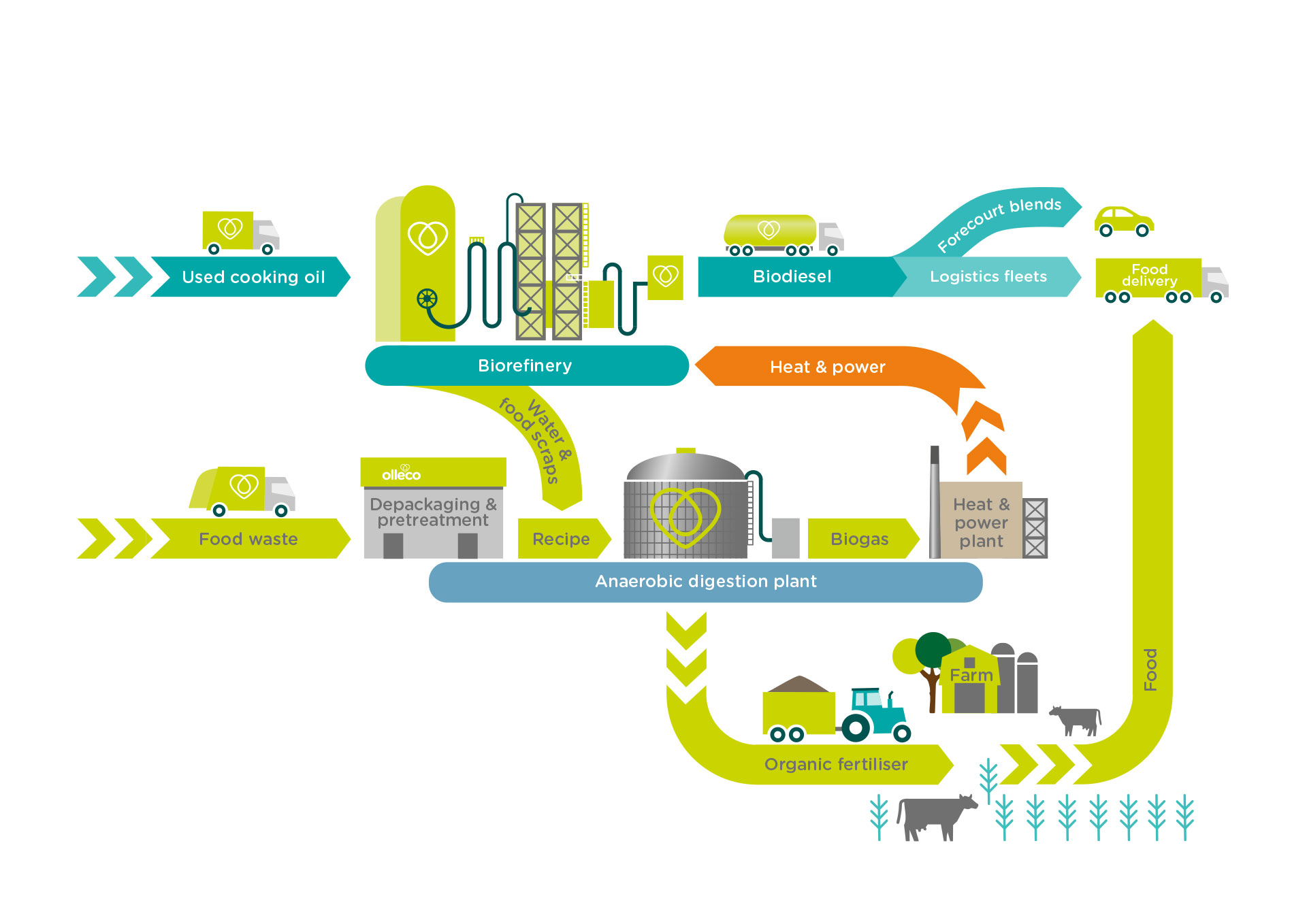 Infographic showing the process of recycling used cooking oil